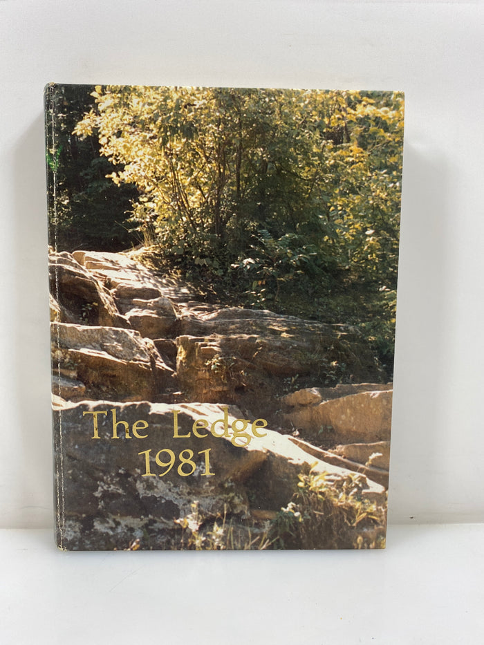 1981 Grand Ledge High School Yearbook Grand Ledge Michigan HC