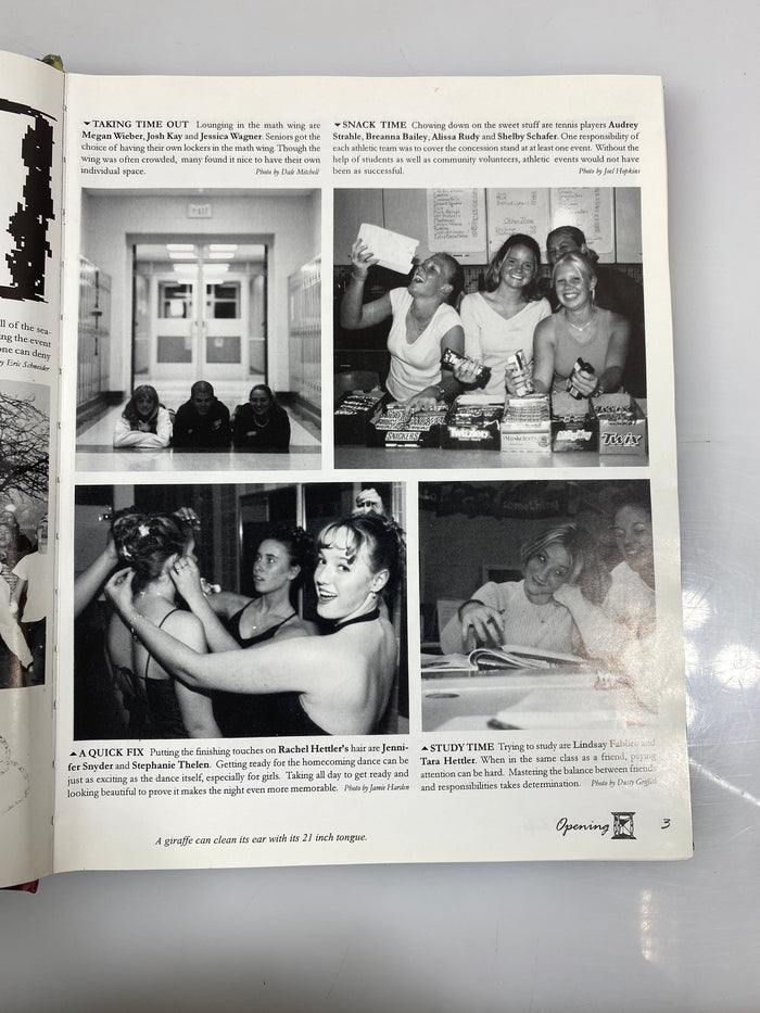 2002 St. Johns High School Yearbook "Wings" St. Johns Michigan HC