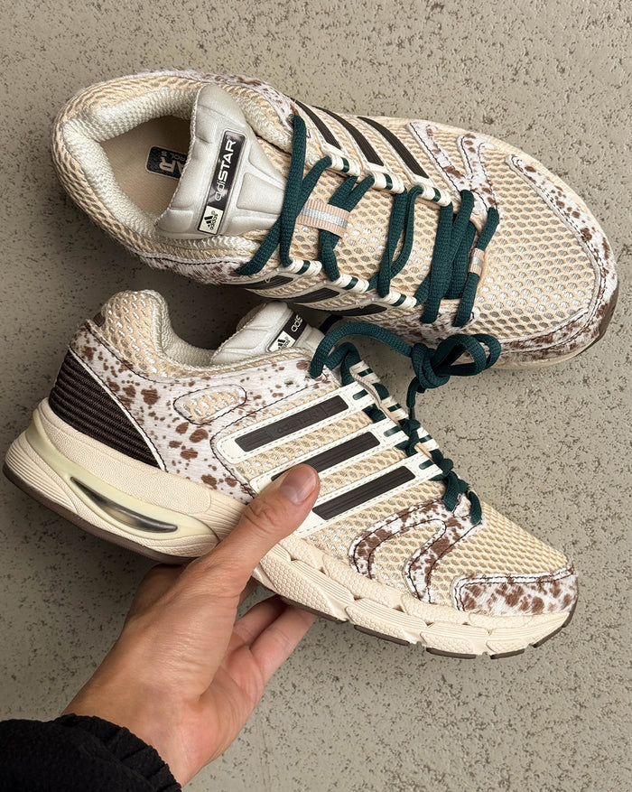 Adidas Adistar Control 5 W onfeet
