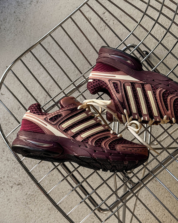 Adidas Adistar Control 5 W onfeet