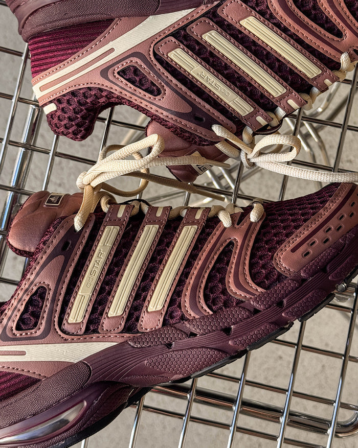 Adidas Adistar Control 5 W onfeet