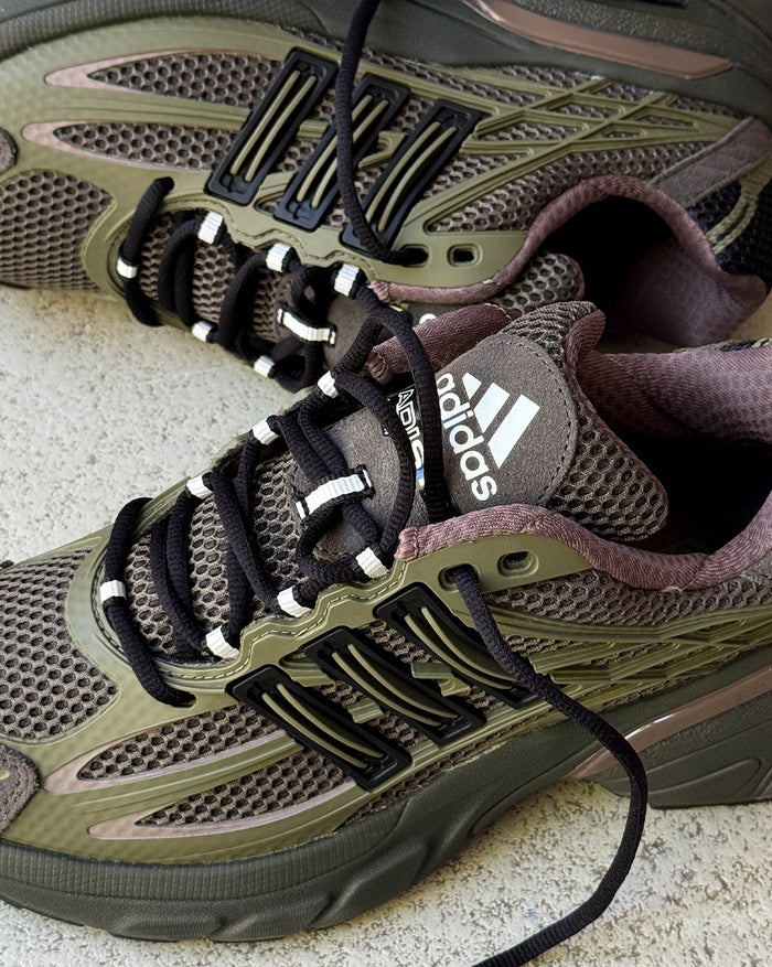 Adidas Adistar XLG 2.0 onfeet