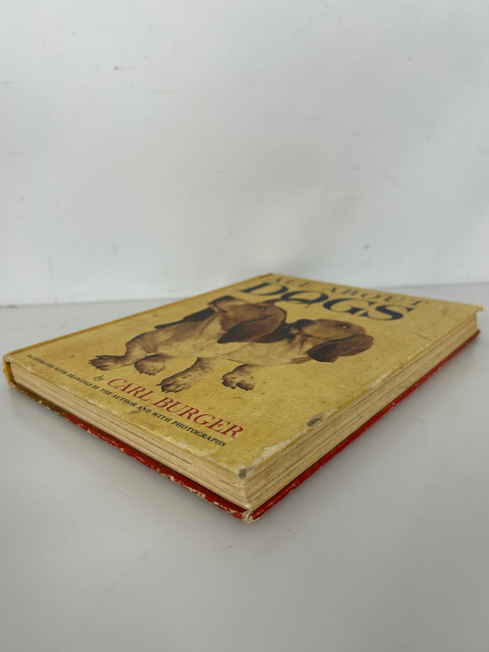 All About Dogs by Carl Burger Random House 1962 HC