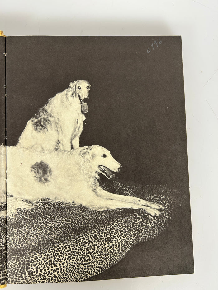 All About Dogs by Carl Burger Random House 1962 HC
