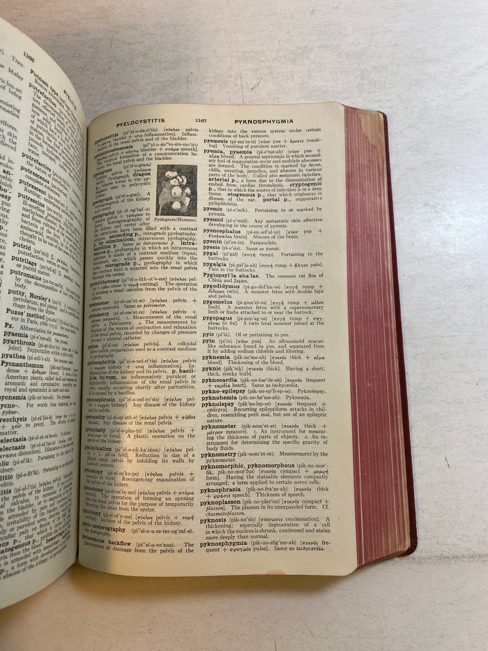 American Illustrated Medical Dictionary 18th Edition SC 1938