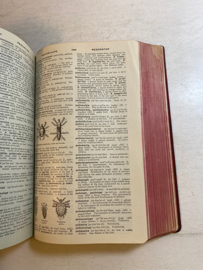 American Illustrated Medical Dictionary 18th Edition SC 1938