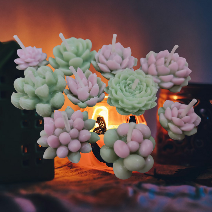 Assorted 10 Small Succulent Candles - Handmade, pastel plant shapes.