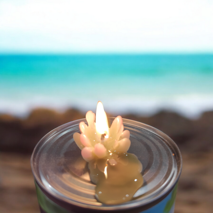 Assorted 10 Small Succulent Candles - Handmade burning by the beach.