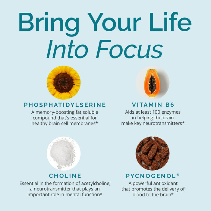 BrainMD Attention Support: infographic - images, names & descriptions of 4 key attention ingredients on light blue background