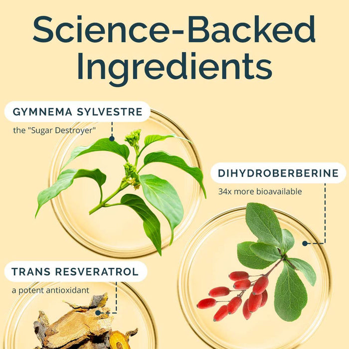 BrainMD Balance My Blood Sugar: infographic - names, images and descriptions of 3 key ingredients in this supplement
