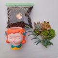 Beginner Gift Box with potting mix, planter, and succulent cuttings.