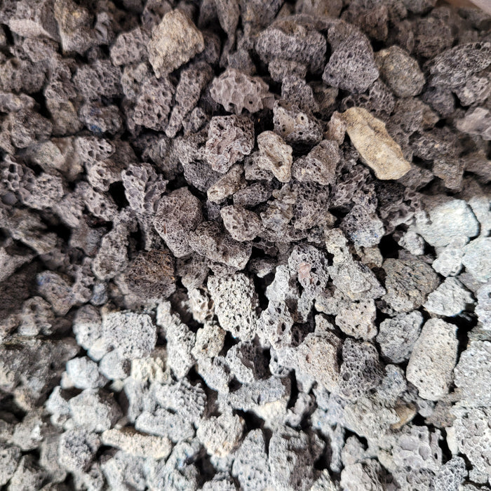 Black Lava Rocks, porous and ideal for moisture retention in soil.