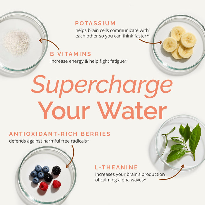 BrainMD Brain Boost On-The-Go: infographic, images & descriptions of 4 key ingredients set against a white background