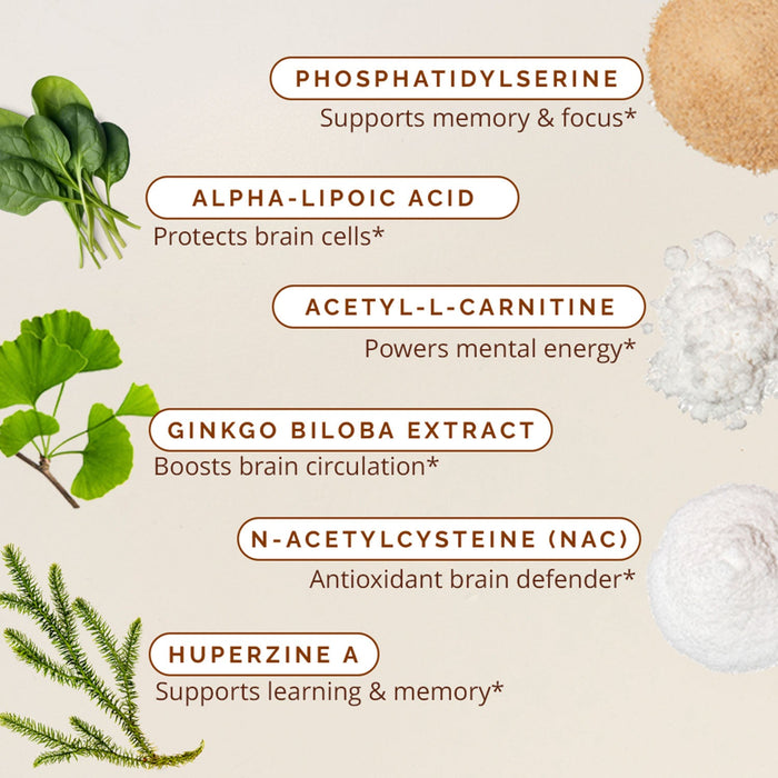 BrainMD Brain & Memory Power Boost: infographic - image, name & brief description of 6 ingredients in this nootropic formula