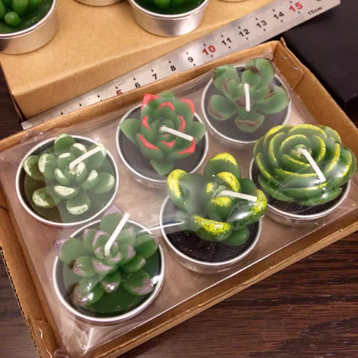 Cactus and Succulent tea light candle set of 6 with ruler.