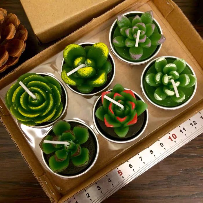 Cactus and Succulent tea light candle set of 6 in tray.