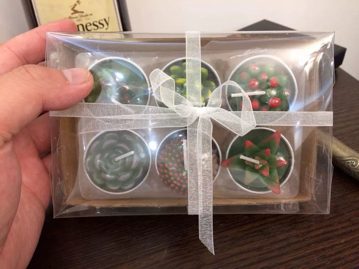 Cactus and Succulent tea light candle gift set.