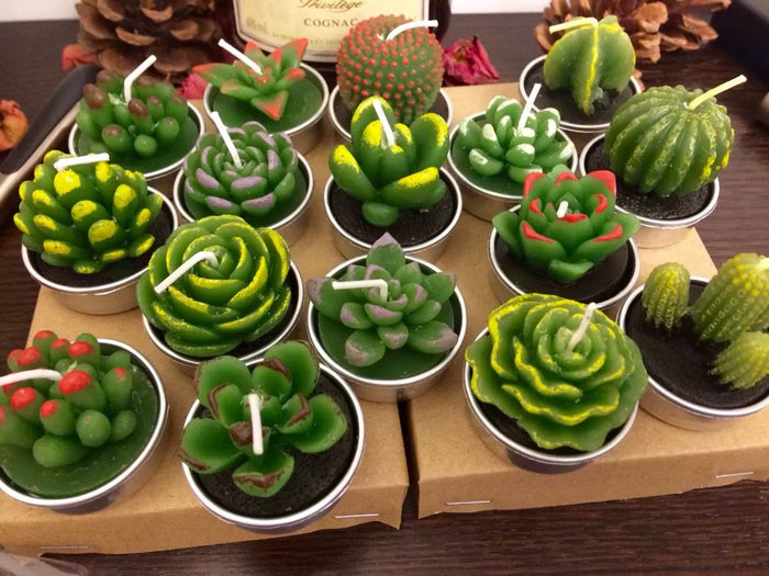 Cactus and Succulent tea light candle set of 6.