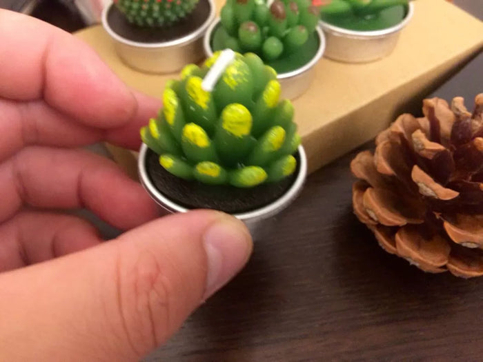 Cactus and Succulent tea light candle in hand.