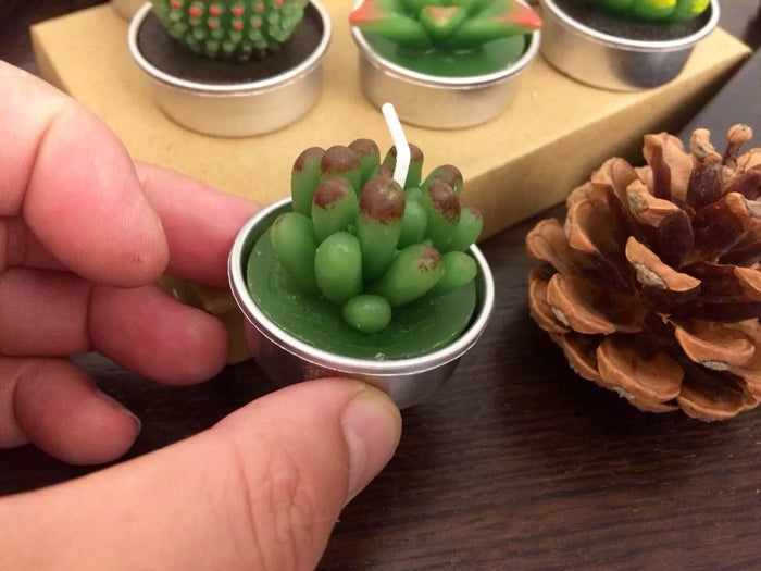 Cactus and Succulent tealight candle set in aluminum cup.