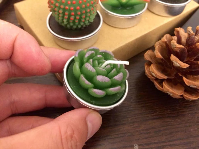 Cactus and Succulent tealight candle in hand.