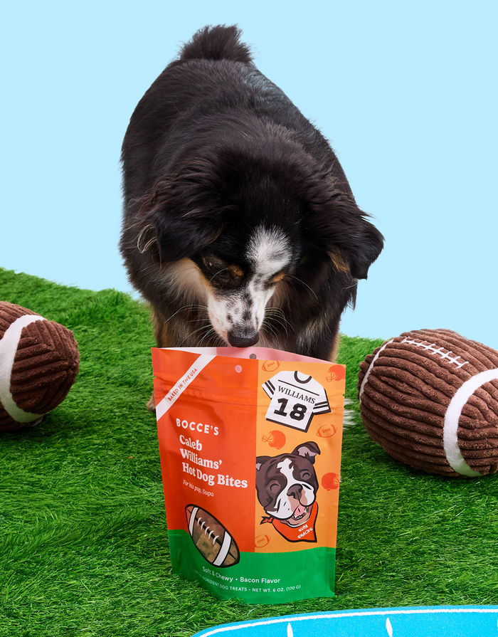 Caleb Williams' Hot Dog Bites 6-pack