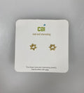 Cool and Interesting Gold Star of David Earrings