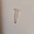 Crassula barbata in microcentrifuge tube with pellet.