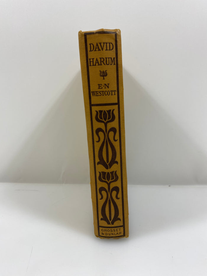 David Harum by Westcott 1898 HC
