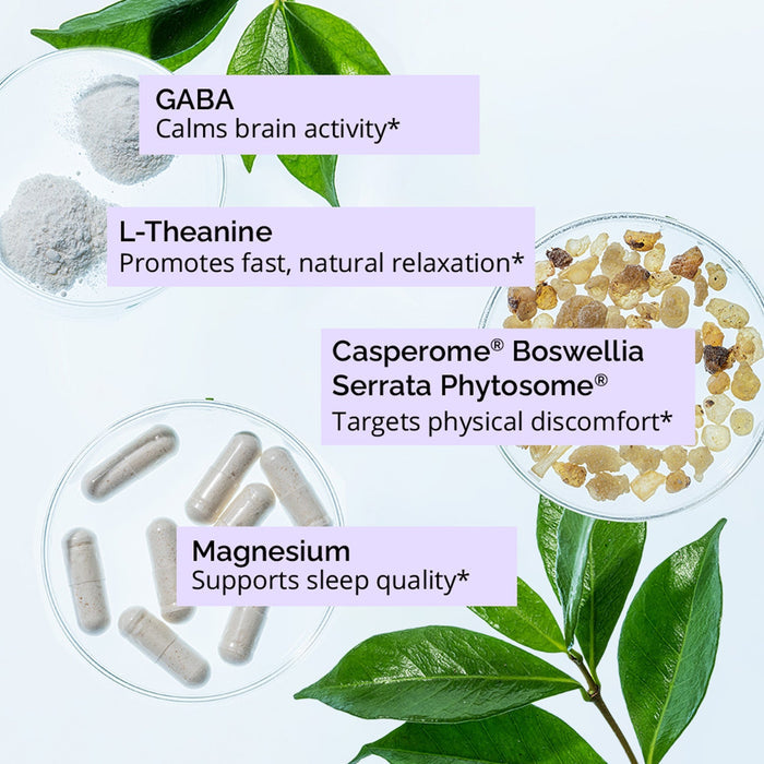 BrainMD Deep Comfort Sleep: infographic, images & descriptions of 4 key ingredients set against an off-white background