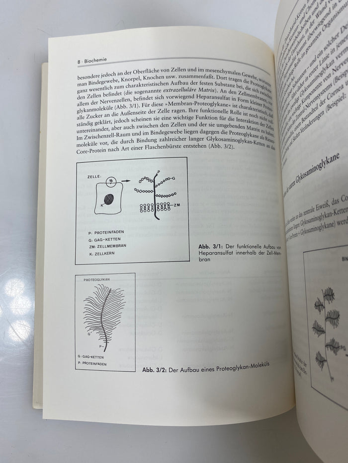 Die Mukopolysaccharidosen by Beck/Fang-Kircher 1993 SC