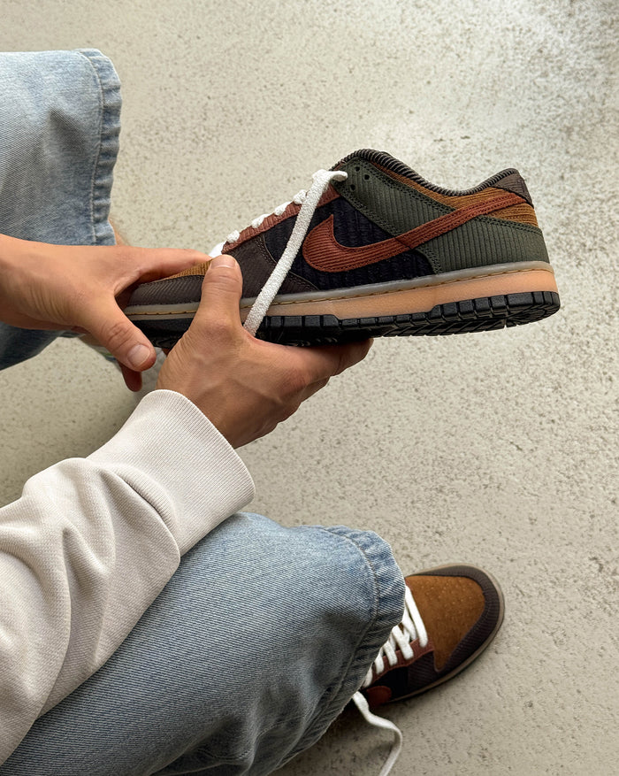 Nike Dunk Low Retro Premium onfeet