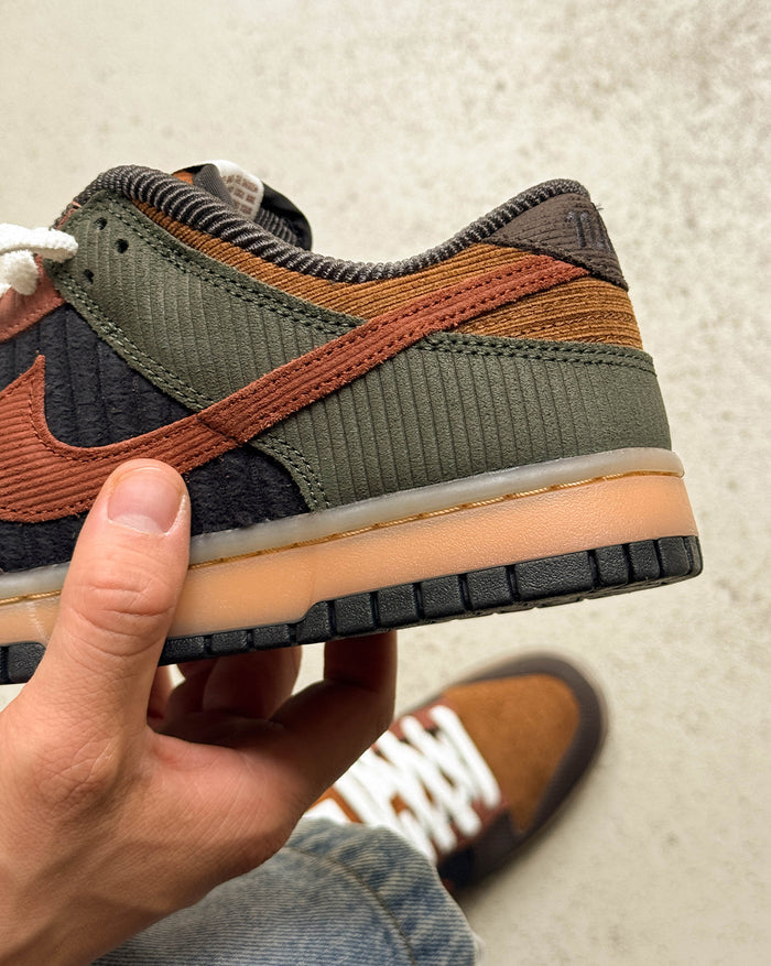 Nike Dunk Low Retro Premium onfeet