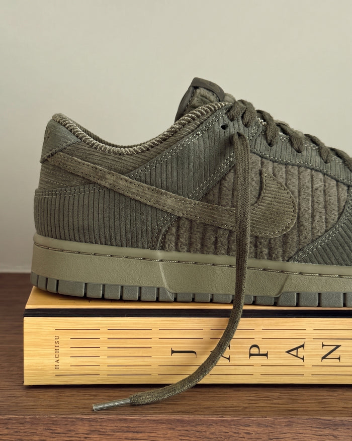 Nike Dunk Low Retro Premium onfeet
