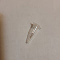 Echeveria Habingeri seeds in a PCR tube.