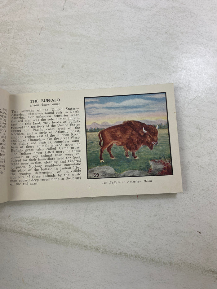 Indians of America Dan Beard Mini Book SC 1935