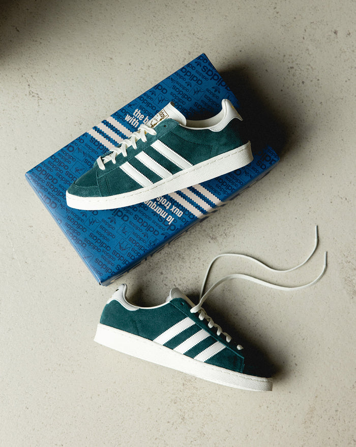 Adidas Jabbar Low onfeet