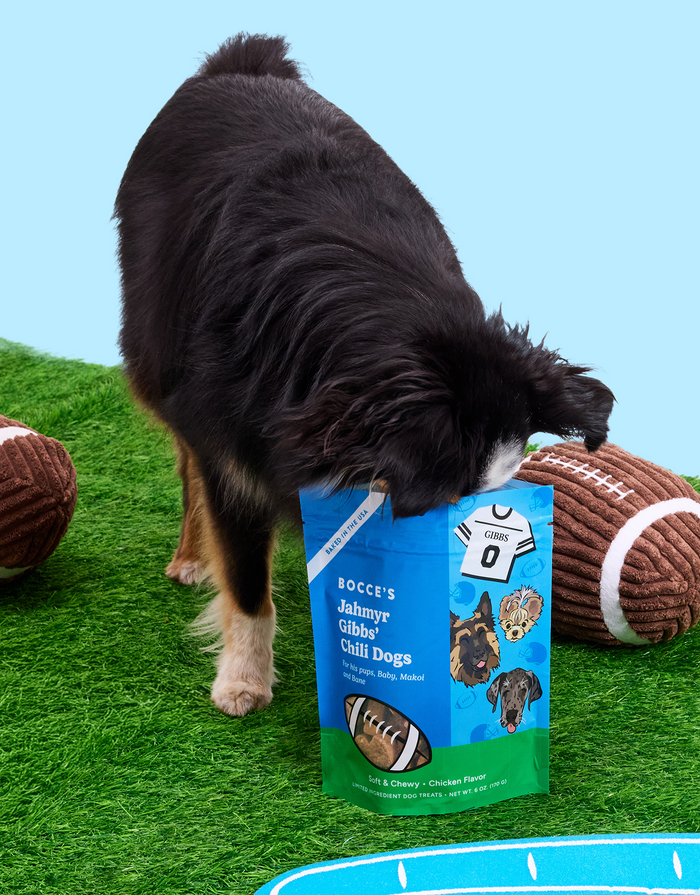 Jahmyr Gibbs' Chili Dogs 6-pack