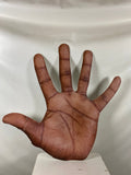 Left Hand Cardboard Cut Out