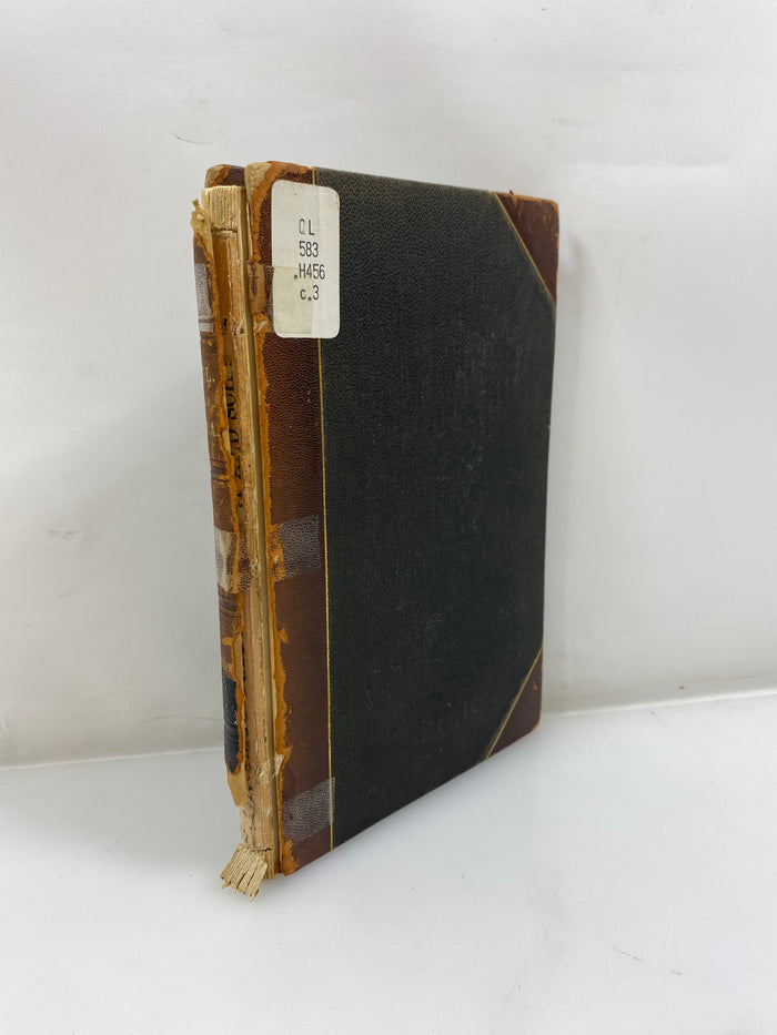 List of the Coleoptera of America North of Mexico by Henshaw Ex-library 1885 HC
