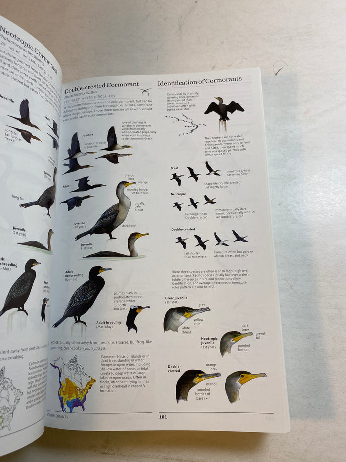 Lot of 2 Sibley Birds Books 2002-2014