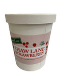 MSU Dairy Store Shaw Lane Strawberry Quart