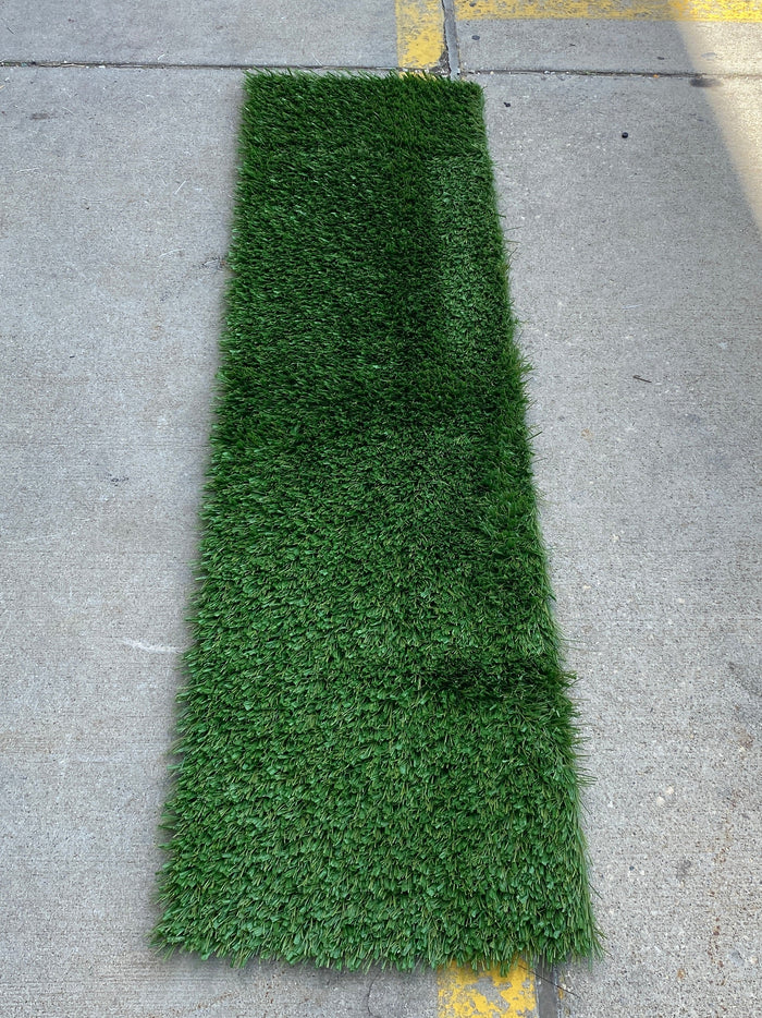 MSU Football Practice Field Green Turf Cut (Large)