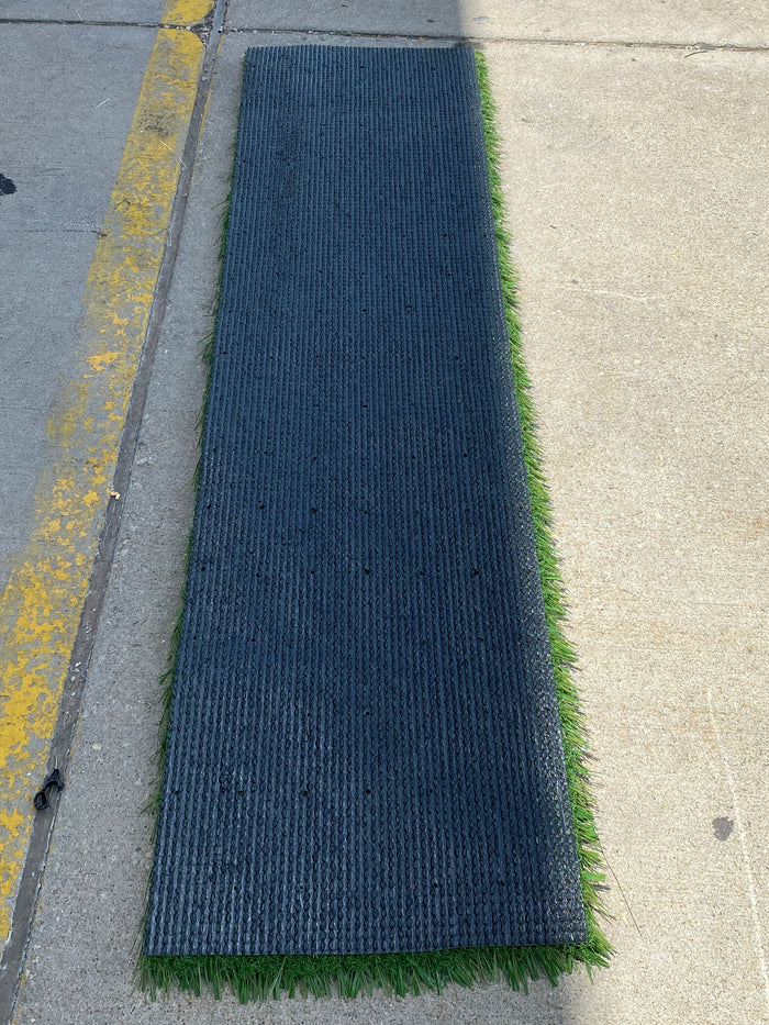 MSU Football Practice Field Green Turf Cut (Large)