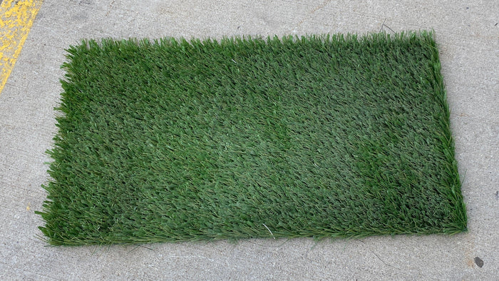 MSU Football Practice Field Green Turf Cut (Medium)