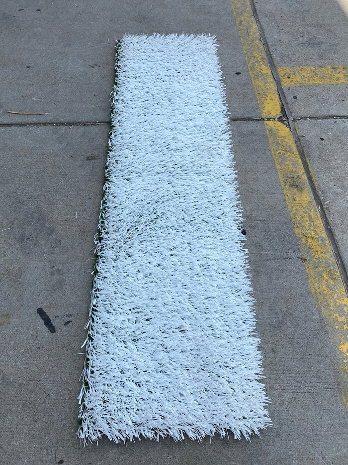 MSU Football Practice Field White Turf Cut (Large)