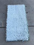 MSU Football Practice Field White Turf Cut (Medium)