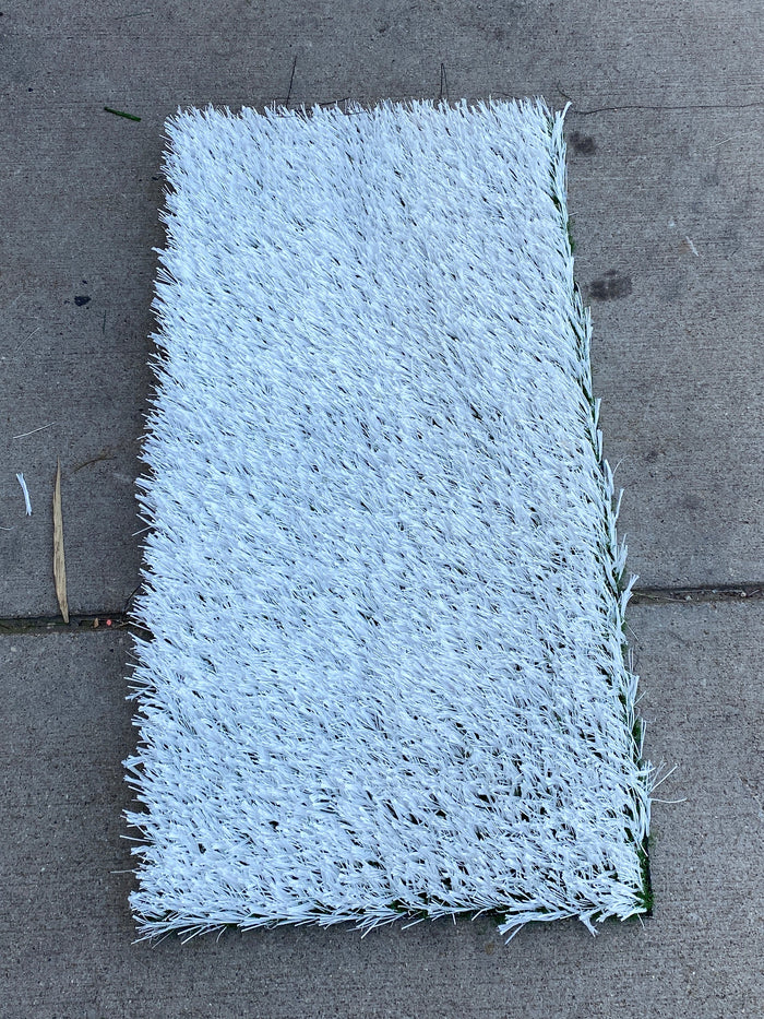 MSU Football Practice Field White Turf Cut (Medium)