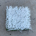 MSU Football Practice Field White Turf Cut (Small)