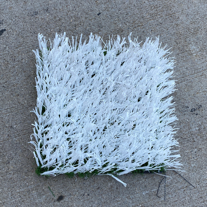 MSU Football Practice Field White Turf Cut (Small)